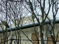 Imagine atasata: 20260114_132514.jpg